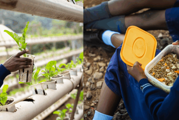Hydroponics - Java Foundation